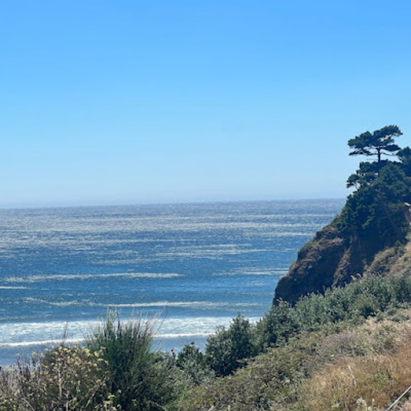 Meet your Posher, Fernanda - Picture 1 of 1